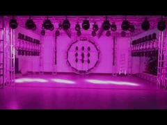 Bee Eye Zoom LED Wash Moving Head Light RGBW 4 In 1