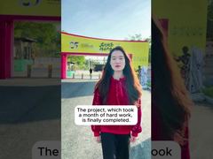 Caso del Proyecto Shunde Bruce Lee