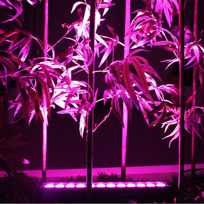 Dmx barra 12*3W RGB 3 de 0,5 metros en 1 luz llevada activa sana llevada de la etapa de la barra del lavado de la pared