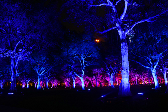 DMX512 RGBW 36W Luz de inundación LED para árboles lámpara de jardín LED para proyección de paisajes