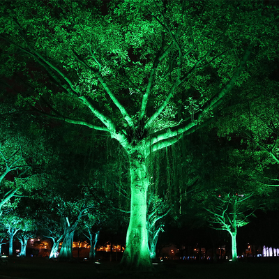 IP65 6W Aluminio al aire libreIndiferente Led Pico de árbol Luz de inundación ajustar Spotlight Iluminación de jardín paisaje