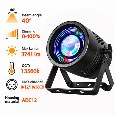 Factory Supply IP65 Waterproof 100W RGBL 2W RGBA LED Parcan Lights Stage Magic Par Light