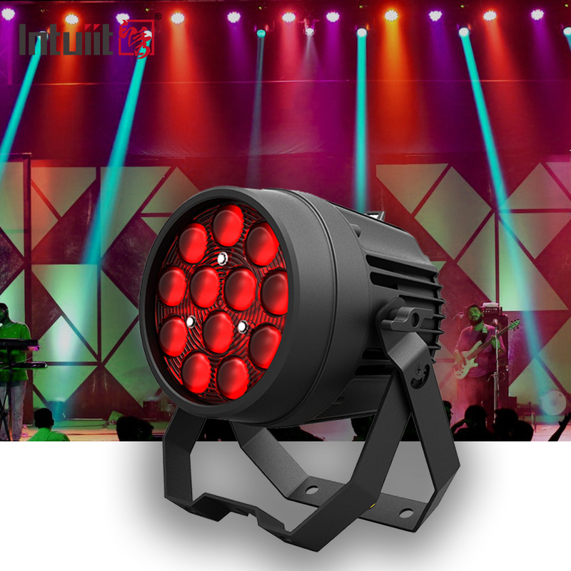 DJ de bodas 12x10W RGBW 4in1 Led Flat Par puede escenas de luces para la discoteca Navidad