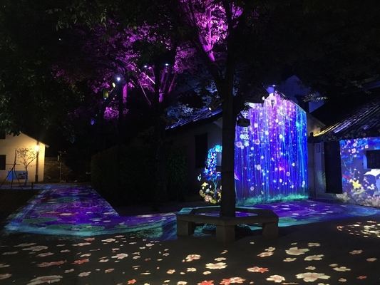 Fuente de luz LED Proyector Gobo para exteriores 60 W 100 W 200 W 400 W Para el mercado del turismo cultural
