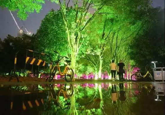DMX512 RGBW 36W Luz de inundación LED para árboles lámpara de jardín LED para proyección de paisajes